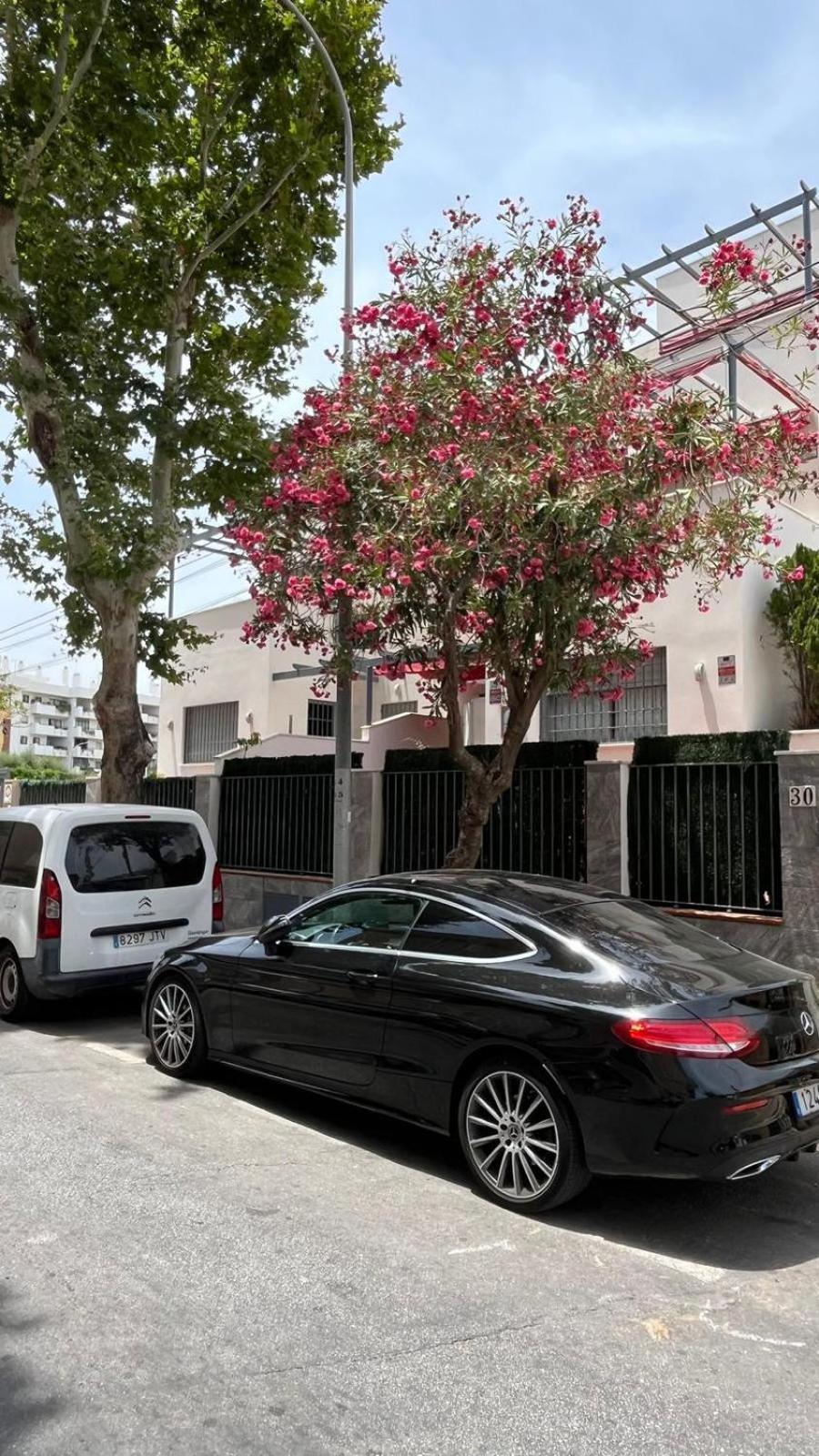 Lejlighed A 30 Metro De La Playa Con Piscina Y Garaje En La Carihuela